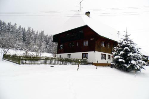 Apartamento Ferienwohnung Schwarzwaldhof
