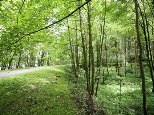 Cosy Apartment In Werda With Garden