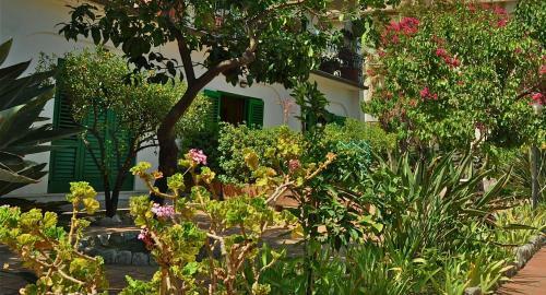 Seafront Apartments Garden House