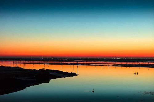 Apartment In Rosolina Mare 25002