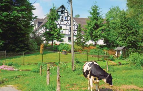 Apartment Berleburg-bergh - 08