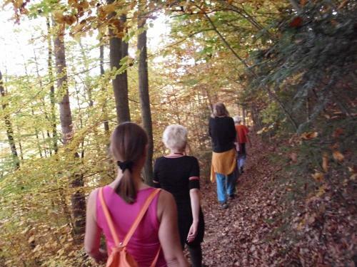 Naturkost-hotel Harz