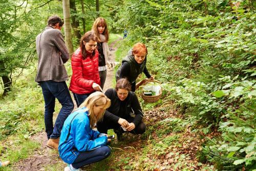 Naturkost-hotel Harz