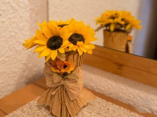 Apartamento Ferienwohnung Sonnenschein