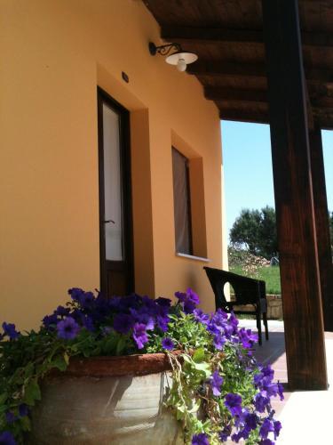 Hotel Su Nuraxi