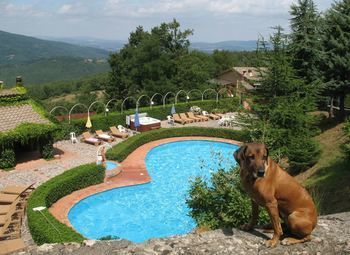 Hotel Rifugio Prategiano