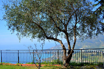 Hotel La Riserva Di Castel D'appio