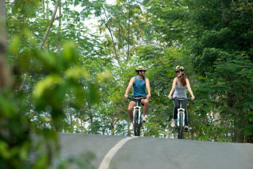 Hotel Rimba Jimbaran Bali By Ayana