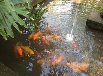 Ngeluwungan Boutique Villa