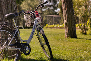 Bed & Breakfast Villa I Barronci Country Resort