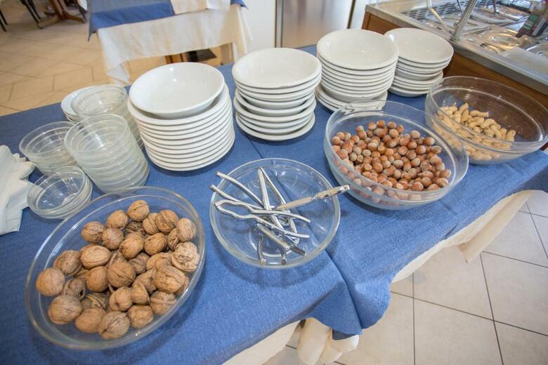 Hotel Delle Mimose