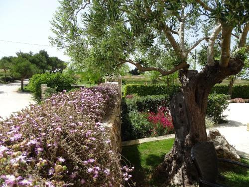 Hotel Masseria Bandino