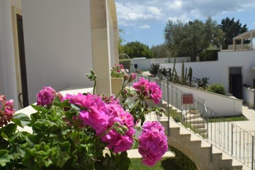 Hotel Masseria Bandino