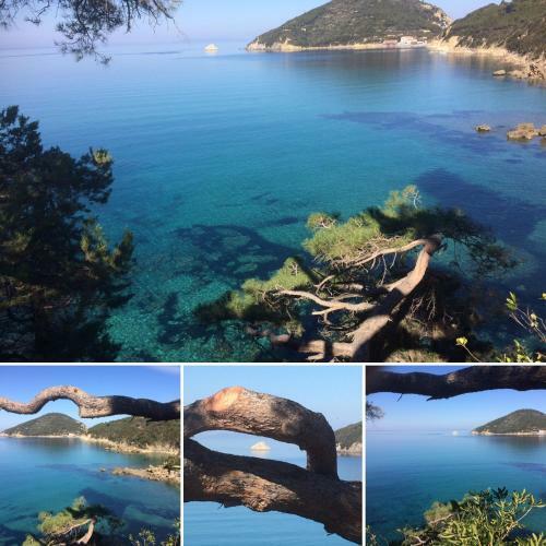 Hotel Viticcio