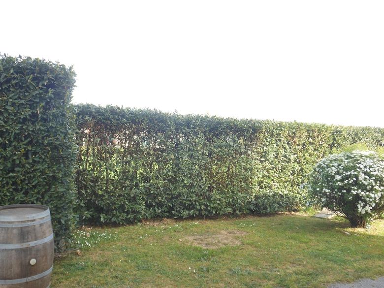 Bed & Breakfast La Corte