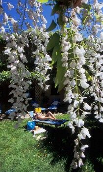 Hotel Su Gologone