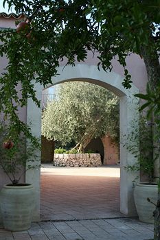Hotel Masseria Degli Ulivi