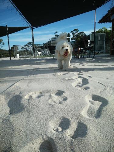 Agroturismo Clare Valley Motel