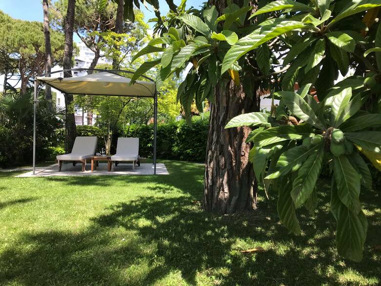 Hotel Greif