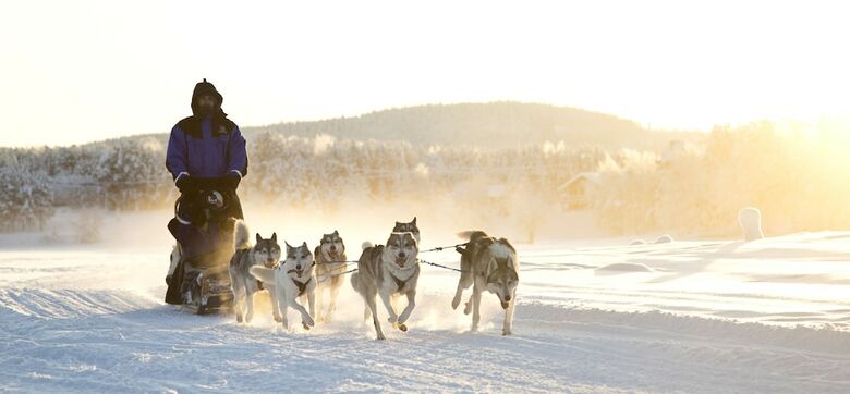 Wilderness Hotel Nellim & Igloos