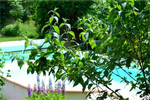 Agroturismo Grandmont Gites