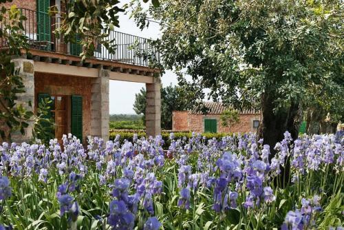 Agroturismo Casa Rural Son Bernadinet