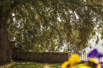 Hotel Villa Dievole