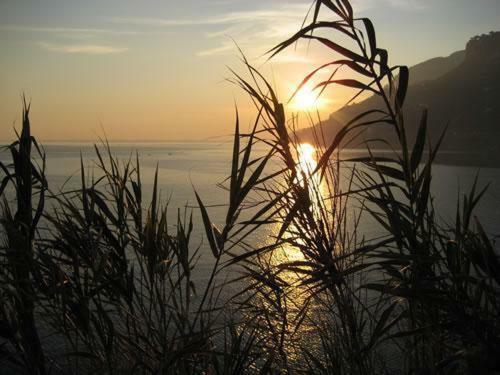Hotel Maison Raphael