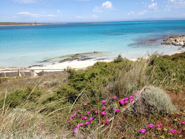 Cala Rosa Club Hotel