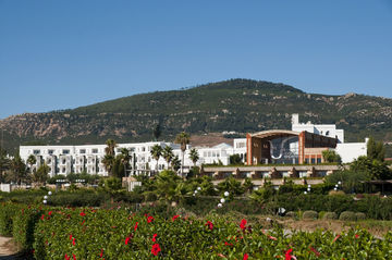 Hotel Sofitel Thalassa Marina Smir