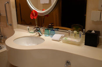 Hotel Holiday Inn Pudong Nanpu