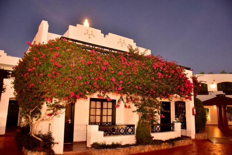 Hotel Verginia Sharm Resort