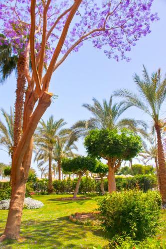 Hotel Palmera Azur Resort