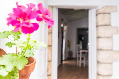 Apartamento Casa Bodega Triana