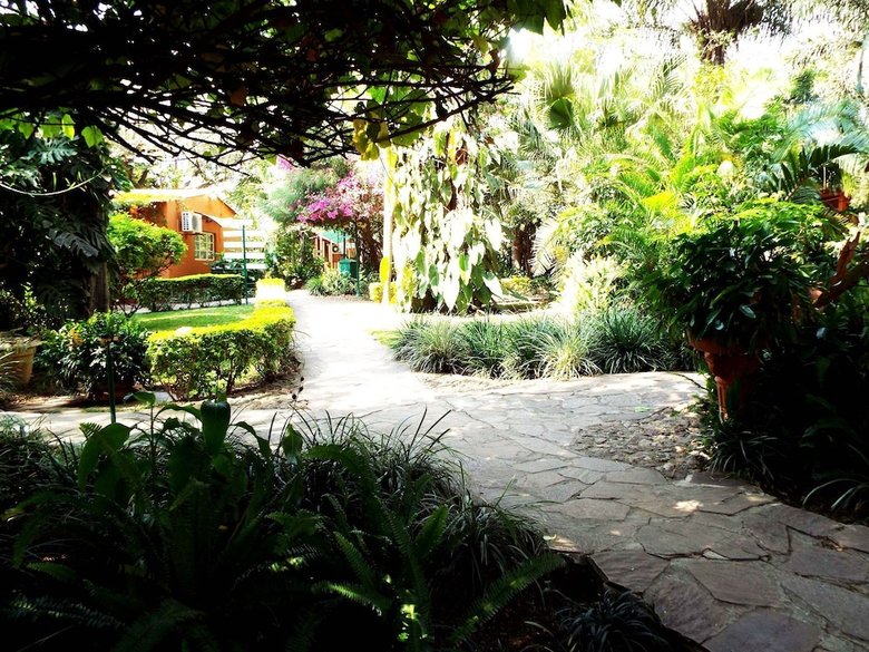 Palmwood Lodge