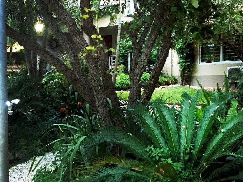 Palmwood Lodge