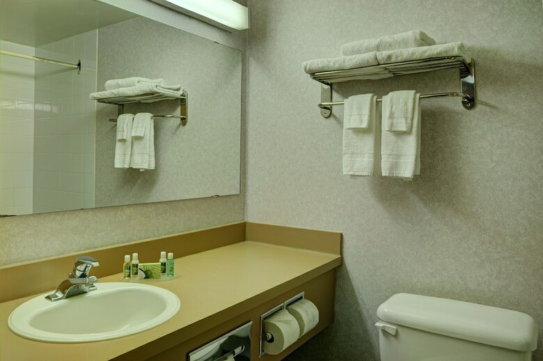 Hotel Lakeview Inns & Suites - Edson East