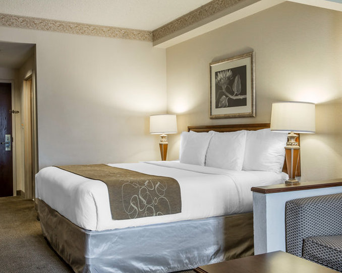 Hotel Comfort Suites Atlanta