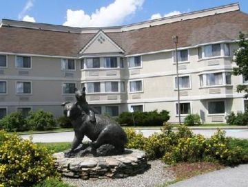 Hotel Black Bear Inn