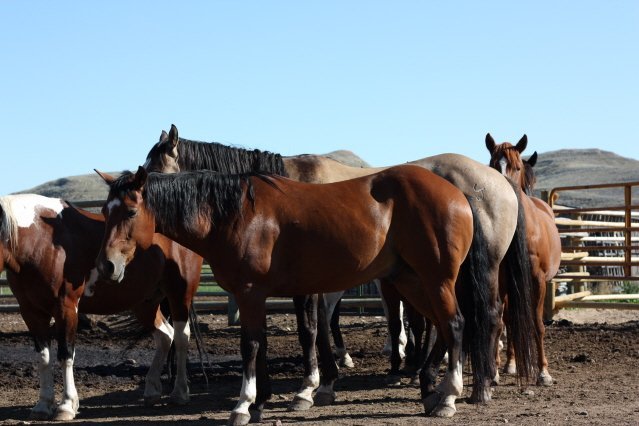 Hotel Ranch At Ucross