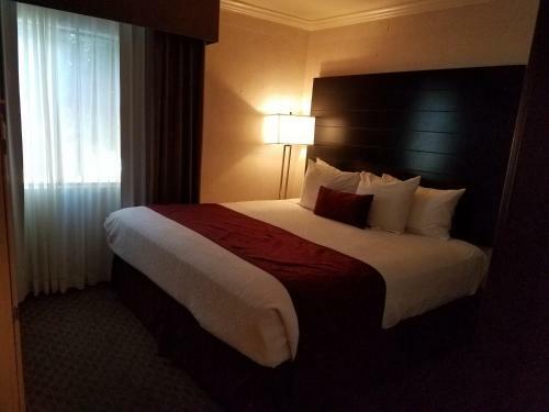 Best Western Innsuites Hotel
