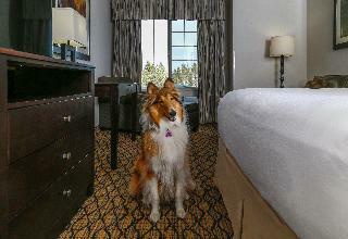 Hotel Holiday Inn West Yellowstone