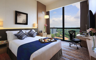 Park Hotel Alexandra