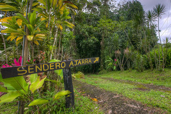 Hotel Kokoro Arenal