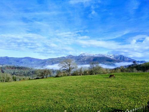 Agroturismo Finca El Palacio