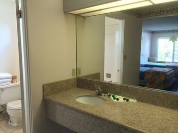 Hotel Alamo Inn &amp; Suites