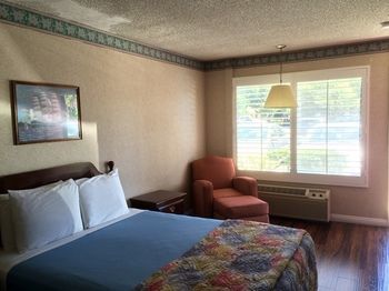 Hotel Alamo Inn &amp; Suites