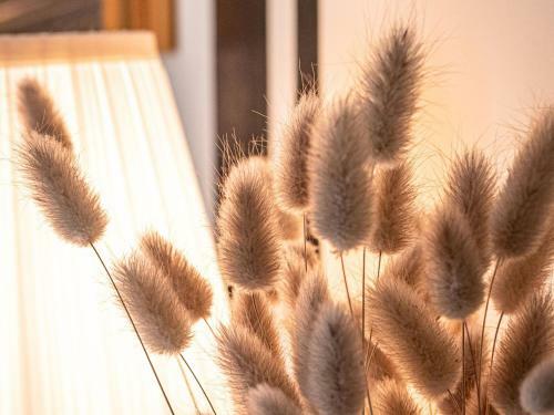 Bed & Breakfast Clos Saint Martin