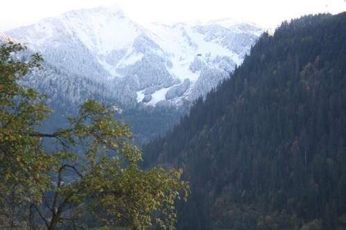 Apartamento Appartement Le Balcon Des Alpes