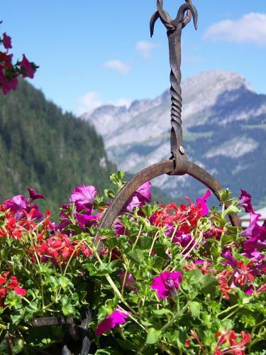 Hotel H�tel Belalp